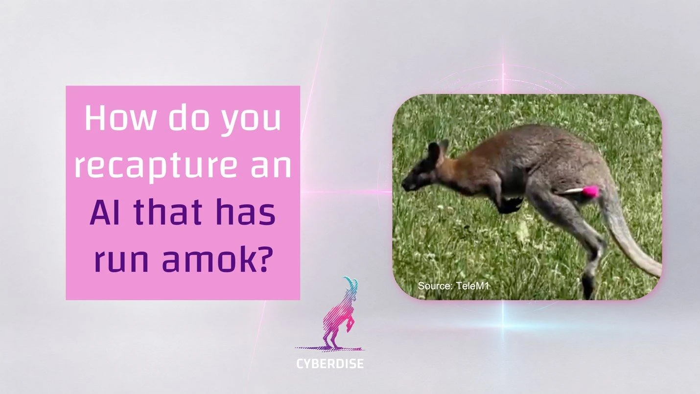 Titelgrafik «How do you recapture an AI that has run amok?» neben dem Foto eines Wallabys mit Betäubungspfeil im Gras